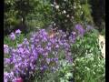 Giverny - Le Jardin de Monet