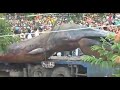 Huge monster in vietnam