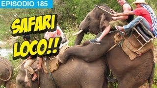 Safari loco!!! l whatdafaqshow.com