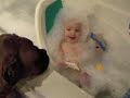 Laughing Baby and Bubble Eating Dog