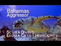 Diving the Bahamas | 