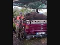 κυνήγι αγριόχοιρου