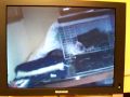 Testing the Wireless Video Cameras