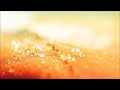 (HQ) Perseus - Seychelles