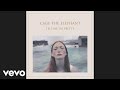 Cage The Elephant - Too Late To Say Goodbye Audio