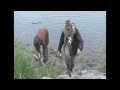 King Salmon Fishing - Seward, Alaska
