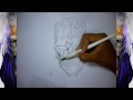 Speed Drawing Barragan Luisenbarn