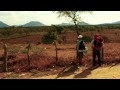 Trailer 2 do filme Finding Josef