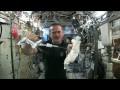 Wringing out a Water Soaked Washcloth in Space | CSA Science HD Video
