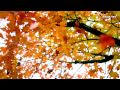 New Malayalam Christian Song ~ Ennikkoodatha Nanmakal | Kester