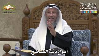 2302 - أنواع ديّة الشجاج - عثمان الخميس