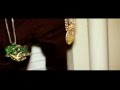 Haitian Fresh - Zoed Up Haitian Fresh - Zoed Up