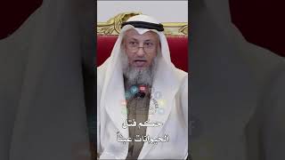 حكم قتل الحيوانات عبثاً - عثمان الخميس