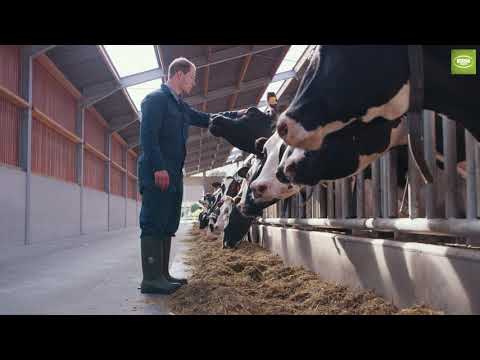 Bekina StepliteX ThermoProtec Full-Safety
