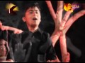 Pyare Nabi Ka Nawasa Hun Main | Pakistani Nauha | Imam Hussain AS | Syed Muhammad Hussain Zaidi| HD