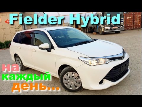 Toyota Corolla Fielder Hybrid на каждый день. Встреча автовоза и продажа Филдера