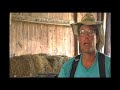 FRESH the trailer