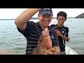 (mangrove jack fishing) memancing ikan merah / siakap merah ( MJ )
