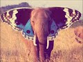 Butterfly Culture - Benjamin Francis Leftwich