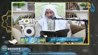 الرحمن 3 | تفسير القرآن الكريم | الشيخ مصطفى العدوي