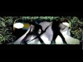 AAMIR GHULAM ALIPELI WARI REMIX.DAT