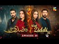 Woh Ziddi Si - Episode 35 - 20th Dec 2024 [ Aina Asif & Shazeal Shaukat ]  SIA BEAUTY CREAM - HUM TV