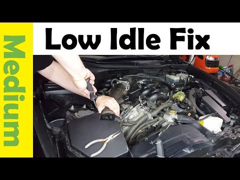 How-to Fix Low Idle on Your Car (Clean Electronic Throttle Body) Check Engine VSC.