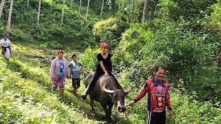 MOUNTAIN LIFE | BUHAY BUKID | RIDING WATER BUFFALO | PHILIPPINES VLOG | PART 2