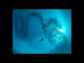 musique zen-meditation-relaxation
