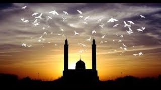 شاهد | مغالطات الملحدين حول الحرية في الإسلام