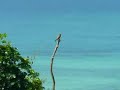 Images from Pemba Island, Tanzania