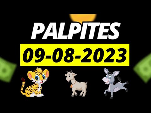 Palpites para jogo do bicho de Quarta-feira 09/08/2023 