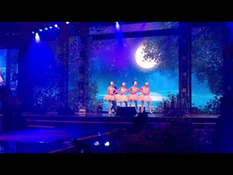 Four Little Swans Ballet Performance