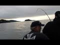 sooke bc salmon fishing sea lion steals fish