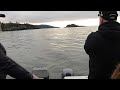 sooke bc salmon fishing sea lion steals fish