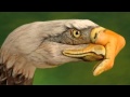 Eagles - Take It Easy -HD
