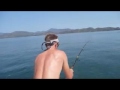 Popper fishing for Jack Crevalle, Costa RIca