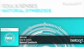 Soul & Senses - Natural Symbiosis (Original Mix)