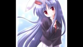 Anime Neko-Bunny Girls Кавайные Нэко