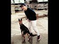 Big Time Rush and their pets