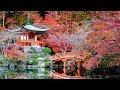 Phép lạ tỏ tường tại Nagasaki có thể bạn chưa từng biết, thông điệp Đức Mẹ Akita