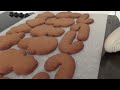 Gingerbread Cookies Recipe HOW TO COOK THAT Ann Reardon sugar cookie frosting