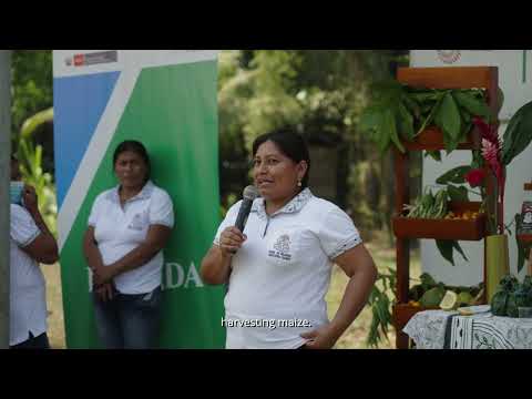 Experiencias de desarrollo alternativo a los cultivos ilegales de coca: Erolita