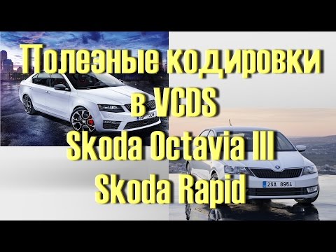 Beste Sammlung von Kodierungen für Skoda Octavia III, Rapid in VCDS Vasya Diagnose