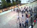 les mouton a alger
