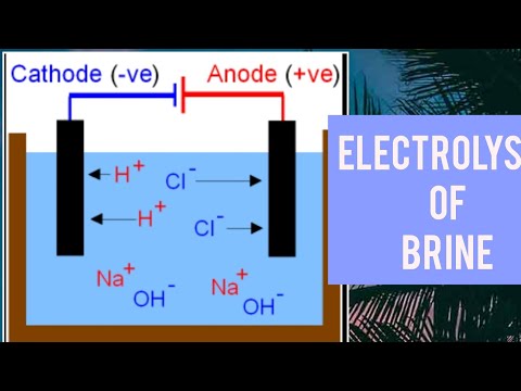 Electrolysis of Brine