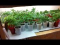 Unboxing Cool Tube HPS Grow Light - Building a Grow Room in a Closet