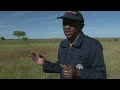 Madagascar battles worst locust plague in 60 years