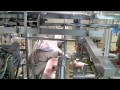 Scott - Automated Lamb Boning System 2011
