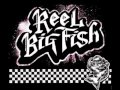 Brown Eyed Girl- Reel Big Fish Live acoustic set